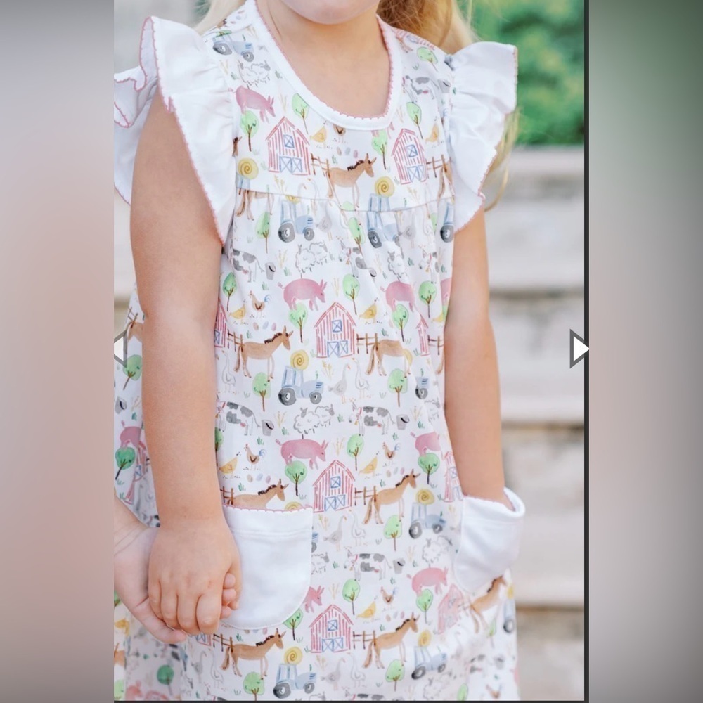 The Proper Peony Yoke Farm Dress Size 8 - Picture 2 of 7